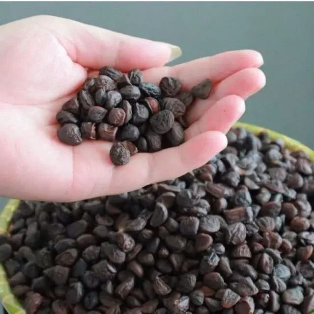 High-Yield Guava Seeds